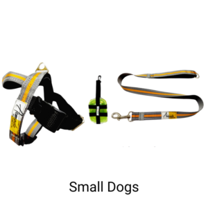 SICA HARNESS with Leash and Carry Bag for Treats