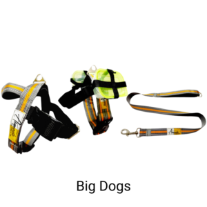 SICA HARNESS with Leash and Carry Pocket for Treats