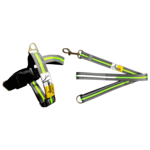 SICA Harness with Leash