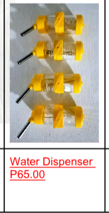 Water Dispenser